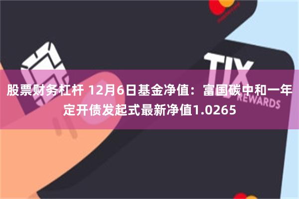 股票财务杠杆 12月6日基金净值：富国碳中和一年定开债发起式最新净值1.0265