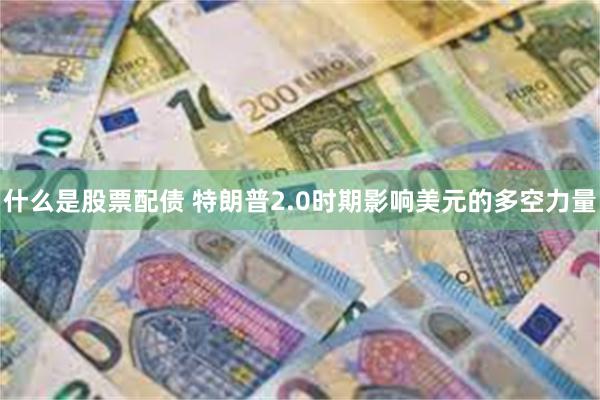 什么是股票配债 特朗普2.0时期影响美元的多空力量