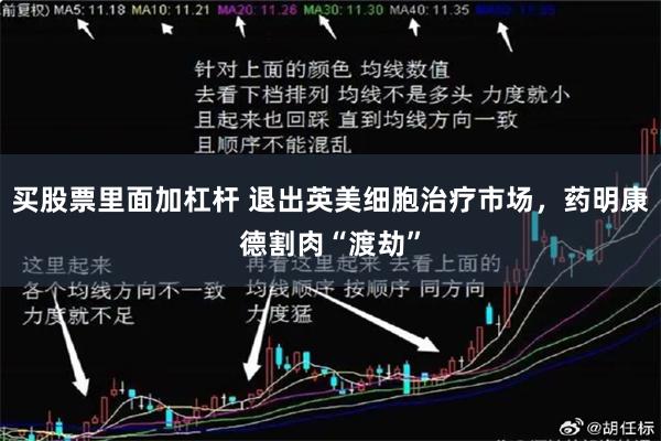 买股票里面加杠杆 退出英美细胞治疗市场，药明康德割肉“渡劫”