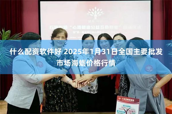 什么配资软件好 2025年1月31日全国主要批发市场海蛎价格行情