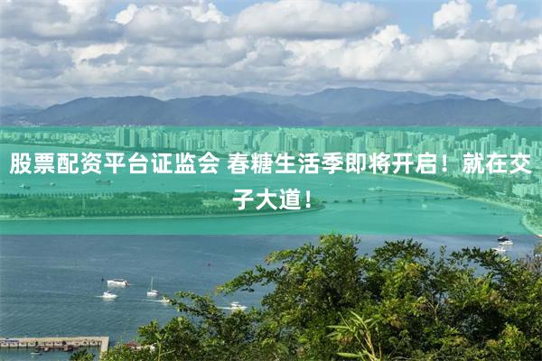 股票配资平台证监会 春糖生活季即将开启！就在交子大道！