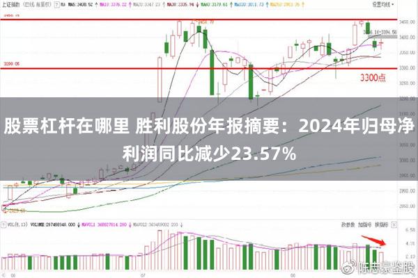 股票杠杆在哪里 胜利股份年报摘要：2024年归母净利润同比减少23.57%