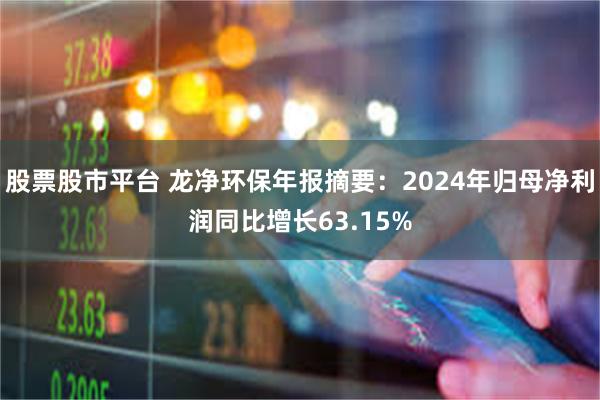股票股市平台 龙净环保年报摘要：2024年归母净利润同比增长63.15%