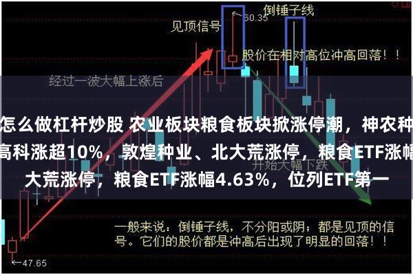 怎么做杠杆炒股 农业板块粮食板块掀涨停潮，神农种业20CM涨停，荃银高科涨超10%，敦煌种业、北大荒涨停，粮食ETF涨幅4.63%，位列ETF第一