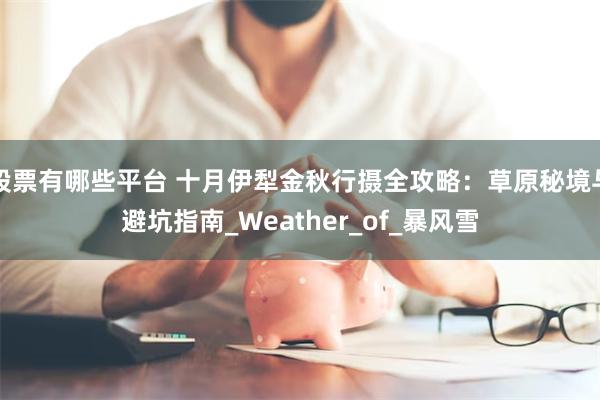 股票有哪些平台 十月伊犁金秋行摄全攻略：草原秘境与避坑指南_Weather_of_暴风雪