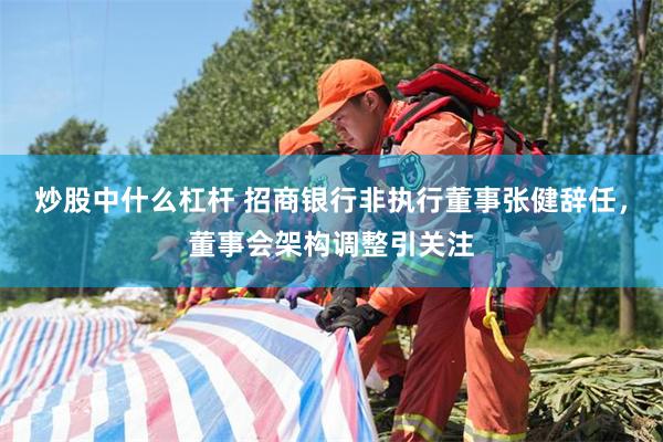 炒股中什么杠杆 招商银行非执行董事张健辞任，董事会架构调整引关注