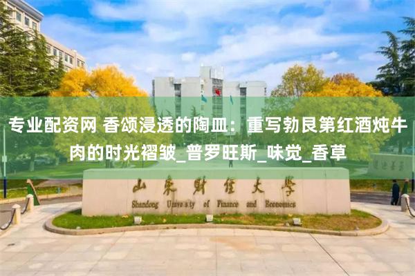 专业配资网 香颂浸透的陶皿：重写勃艮第红酒炖牛肉的时光褶皱_普罗旺斯_味觉_香草