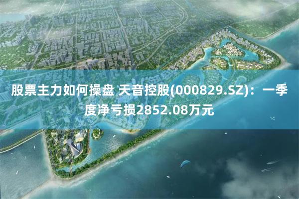 股票主力如何操盘 天音控股(000829.SZ)：一季度净亏损2852.08万元