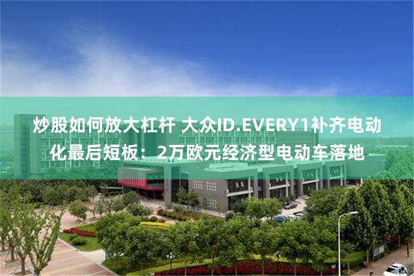 炒股如何放大杠杆 大众ID.EVERY1补齐电动化最后短板：2万欧元经济型电动车落地