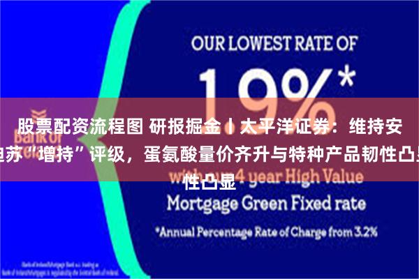 股票配资流程图 研报掘金丨太平洋证券：维持安迪苏“增持”评级，蛋氨酸量价齐升与特种产品韧性凸显