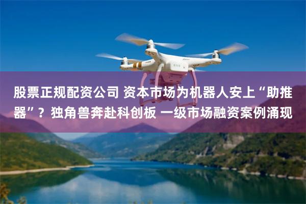 股票正规配资公司 资本市场为机器人安上“助推器”？独角兽奔赴科创板 一级市场融资案例涌现