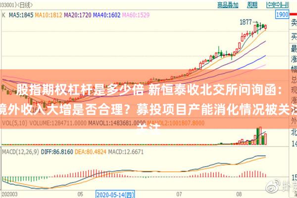 股指期权杠杆是多少倍 新恒泰收北交所问询函：境外收入大增是否合理？募投项目产能消化情况被关注