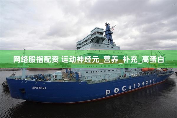 网络股指配资 运动神经元_营养_补充_高蛋白