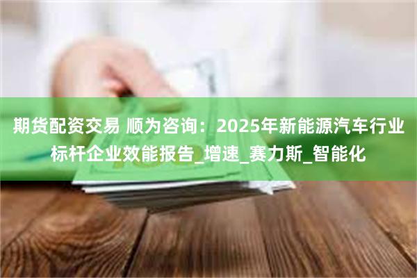 期货配资交易 顺为咨询：2025年新能源汽车行业标杆企业效能报告_增速_赛力斯_智能化