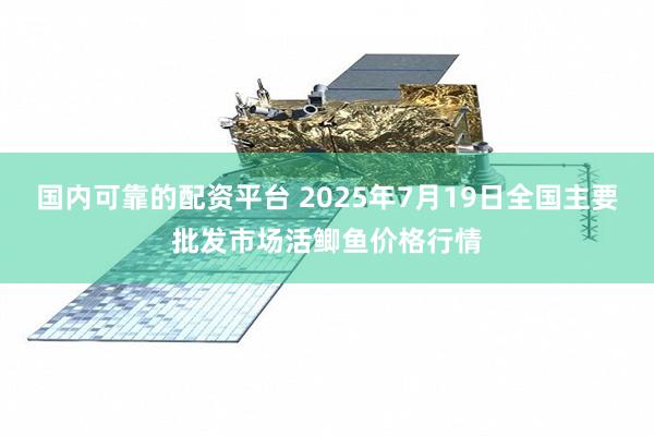 国内可靠的配资平台 2025年7月19日全国主要批发市场活鲫鱼价格行情