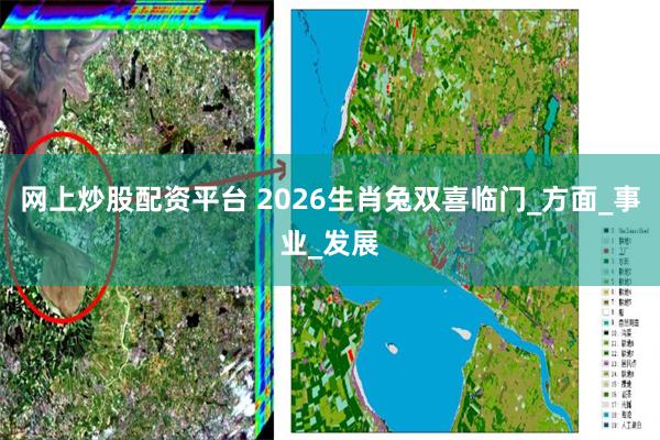 网上炒股配资平台 2026生肖兔双喜临门_方面_事业_发展