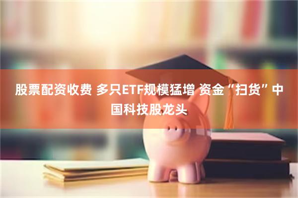 股票配资收费 多只ETF规模猛增 资金“扫货”中国科技股龙头