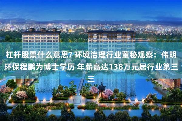 杠杆股票什么意思? 环境治理行业董秘观察：伟明环保程鹏为博士学历 年薪高达138万元居行业第三
