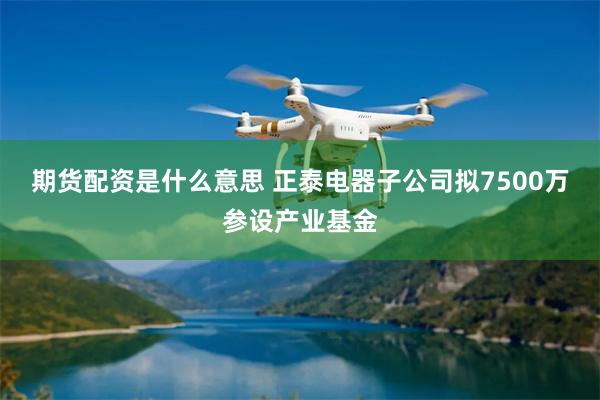 期货配资是什么意思 正泰电器子公司拟7500万参设产业基金
