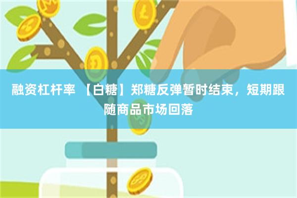 融资杠杆率 【白糖】郑糖反弹暂时结束，短期跟随商品市场回落
